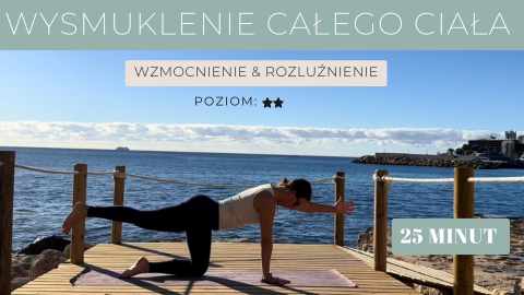 OKŁADKI- modułu oraz lekcji –PSO (480 x 270 px) (3)